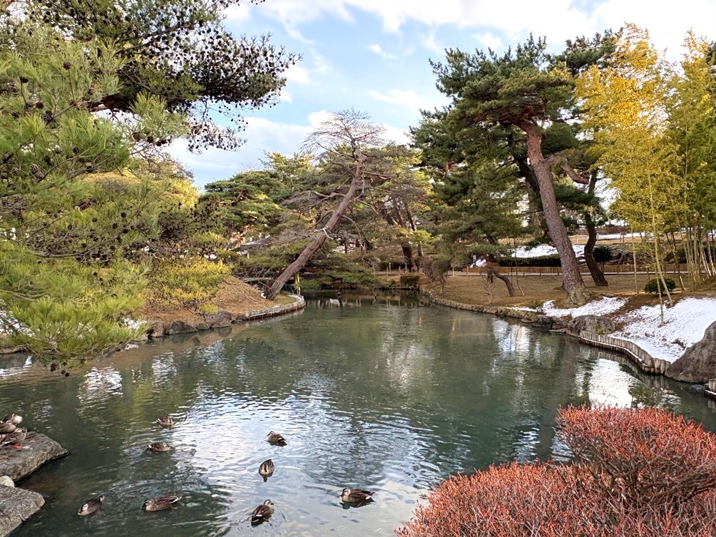 Introduction_hayama_park_20260116_02