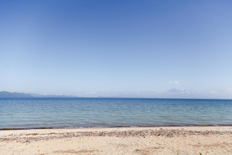 dtwr_member_interview_02_202601