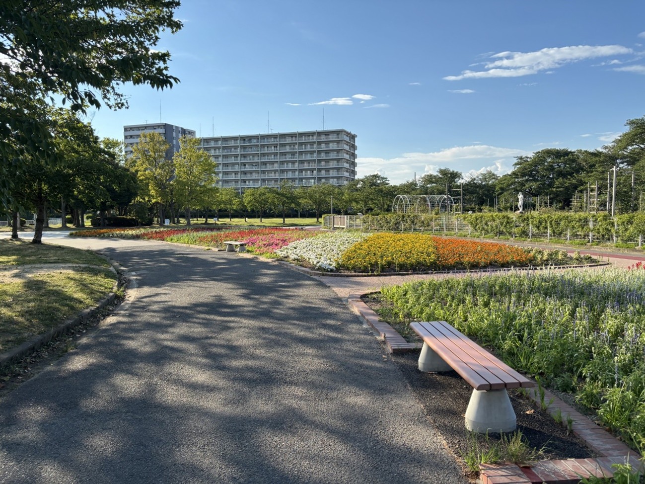 dtwr_member_interview_03_202601