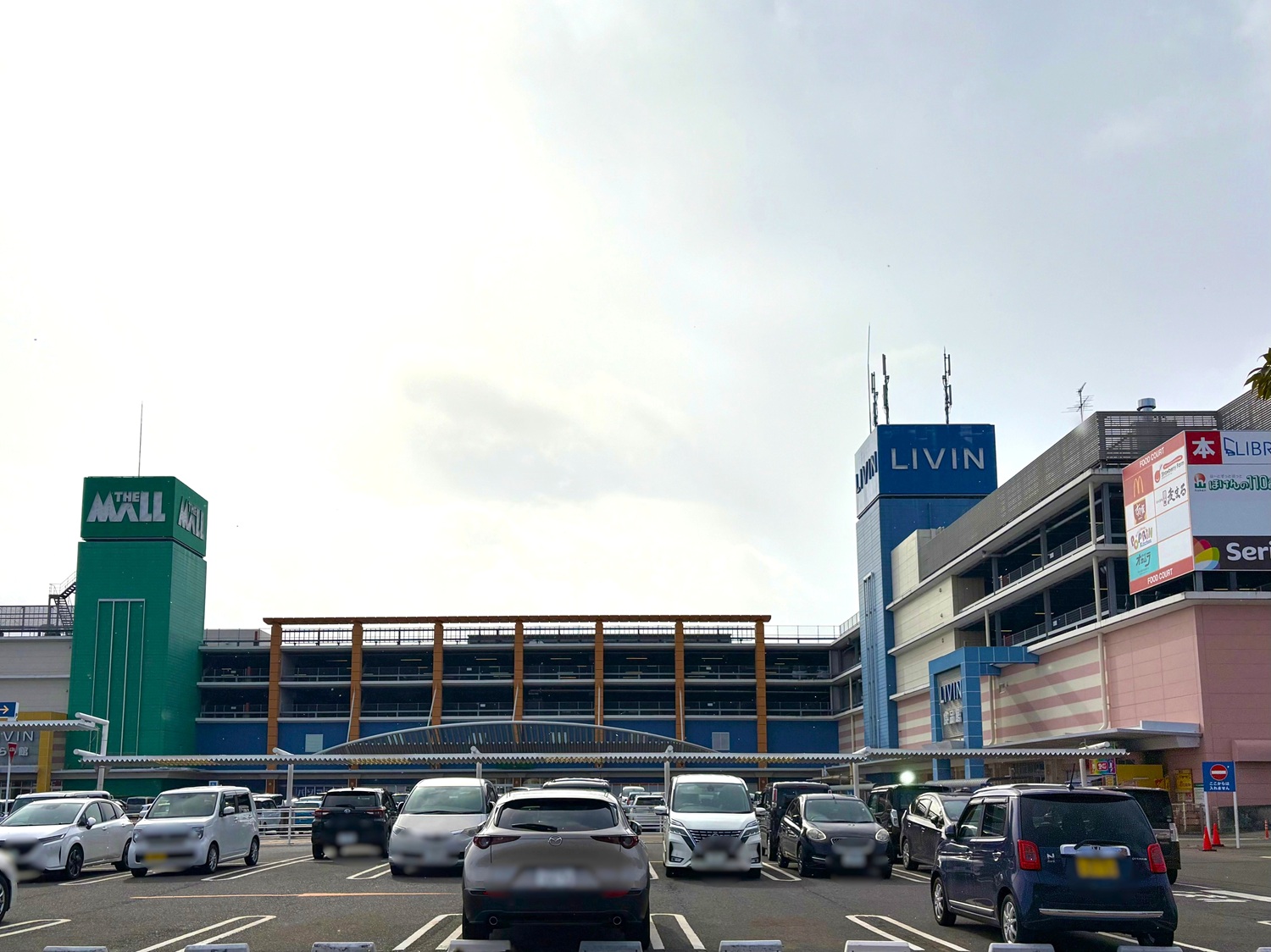 dtwr_member_interview_03_20260216_02