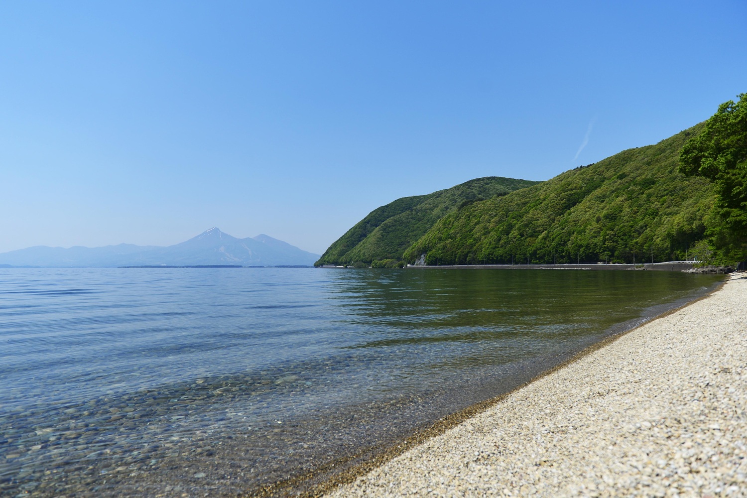 dtwr_member_interview_04_20260403_04