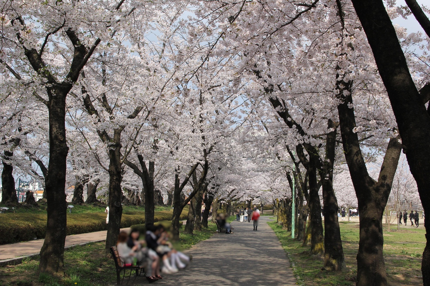 dtwr_member_interview_05_20260428_02