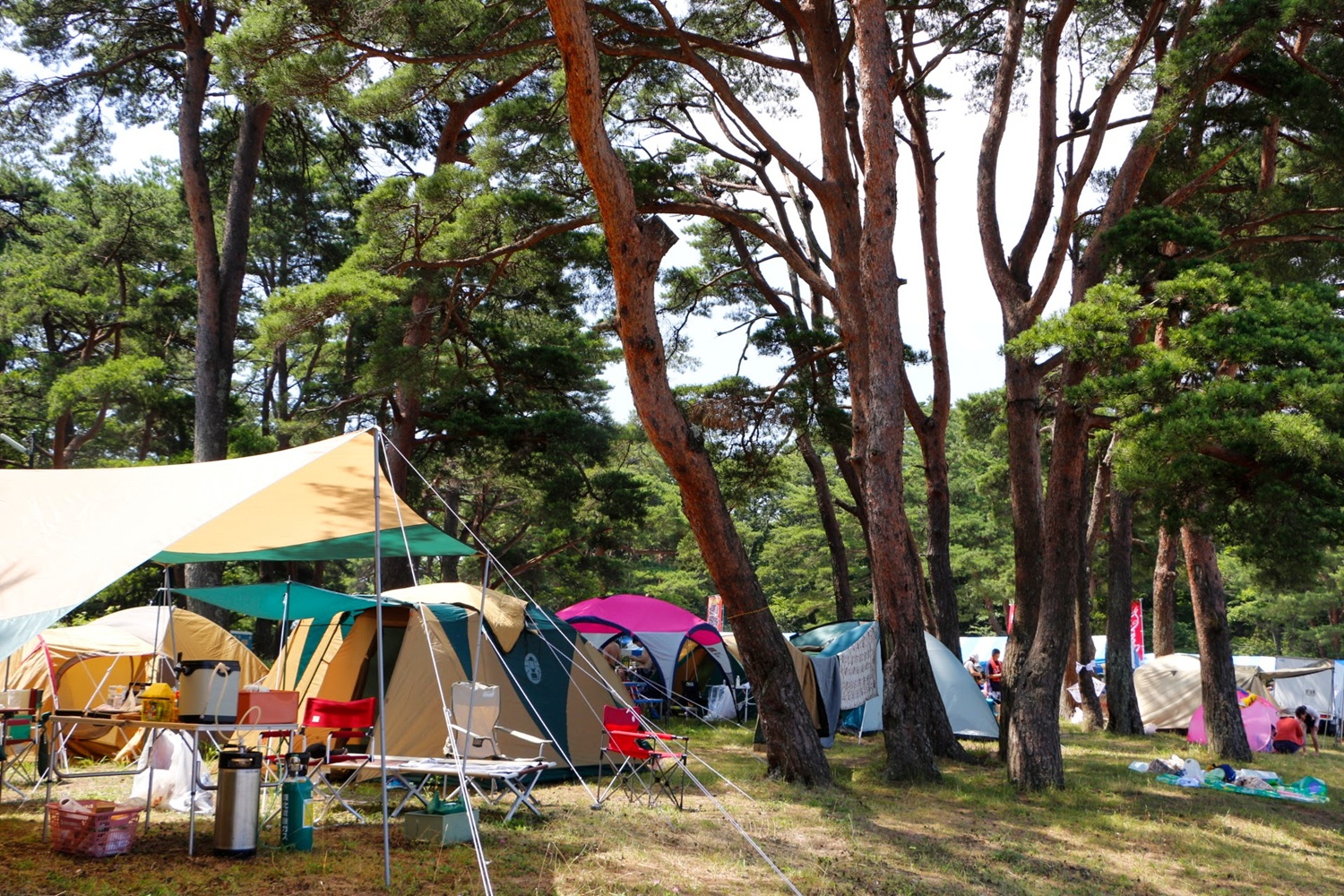 dtwr_member_interview_05_20260428_04